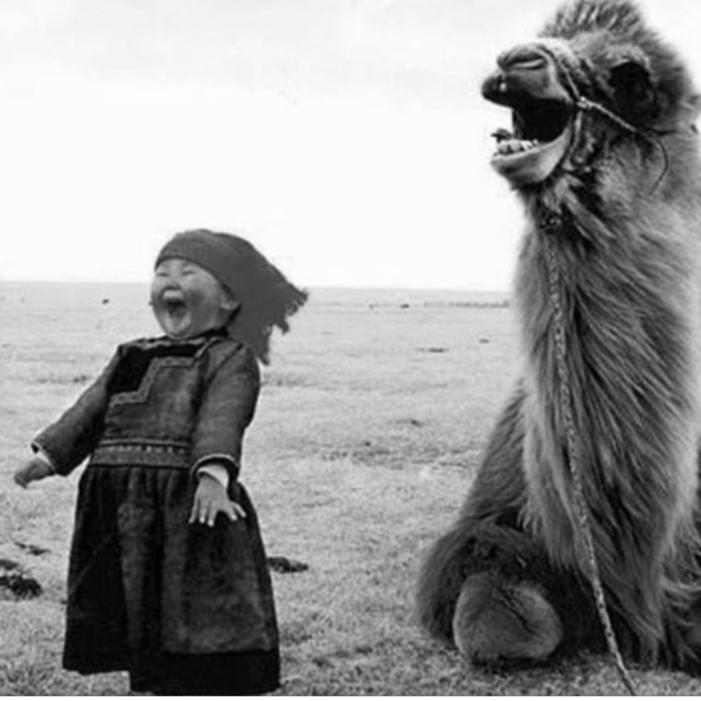 Sheer Joy!
